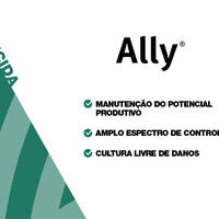 ALLY 600 WG 40G